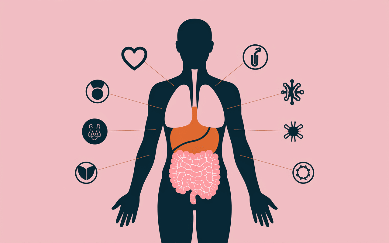 Illustration expliquant comment perdre du ventre et graisse abdominale