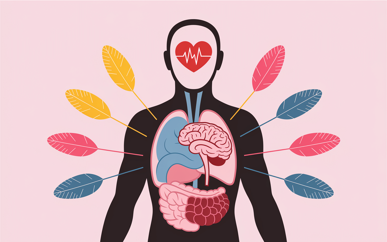 combien de calorie brule t on par jour sans rien faire schema metabolisme de base