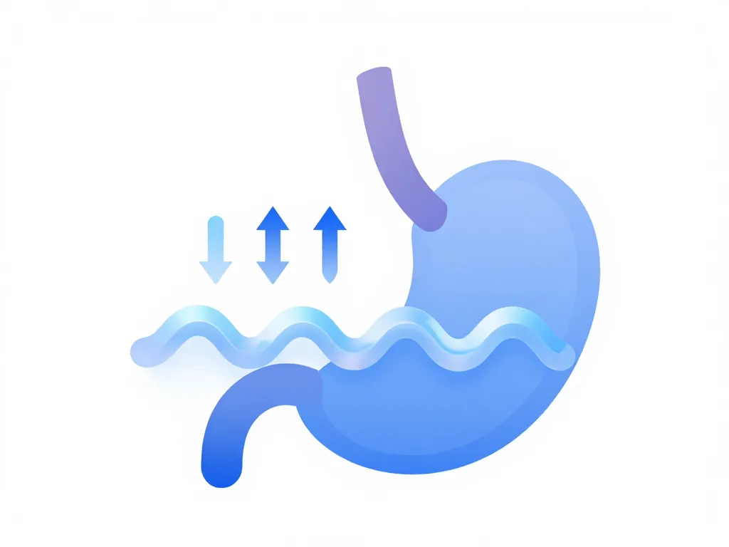 inexium schéma action estomac acidité