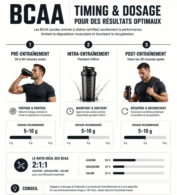 Infographie sur le timing et le dosage des BCAA pour optimiser la performance sportive et la récupération musculaire.