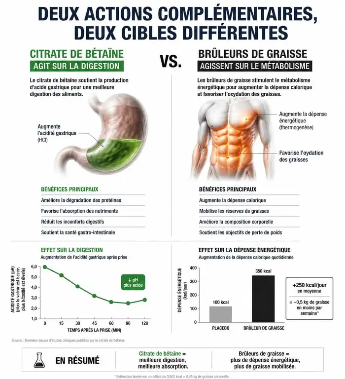 Infographie comparative : Citrate de bétaïne pour la digestion vs Brûleurs de graisse pour la perte de poids