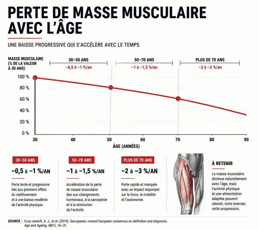 Graphique illustrant la perte de masse musculaire liée à l'âge et la sarcopénie