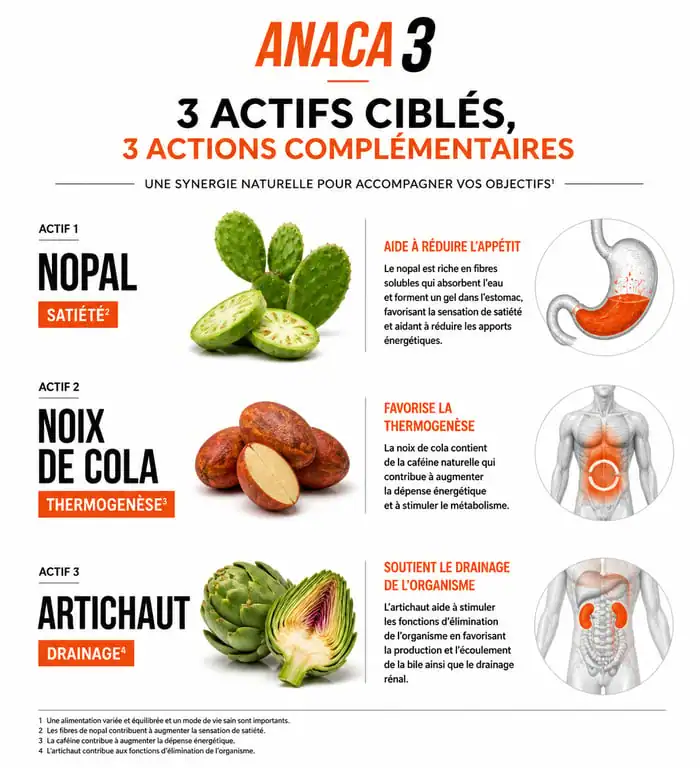 Infographie des bienfaits des ingrédients Anaca 3 perte de poids
